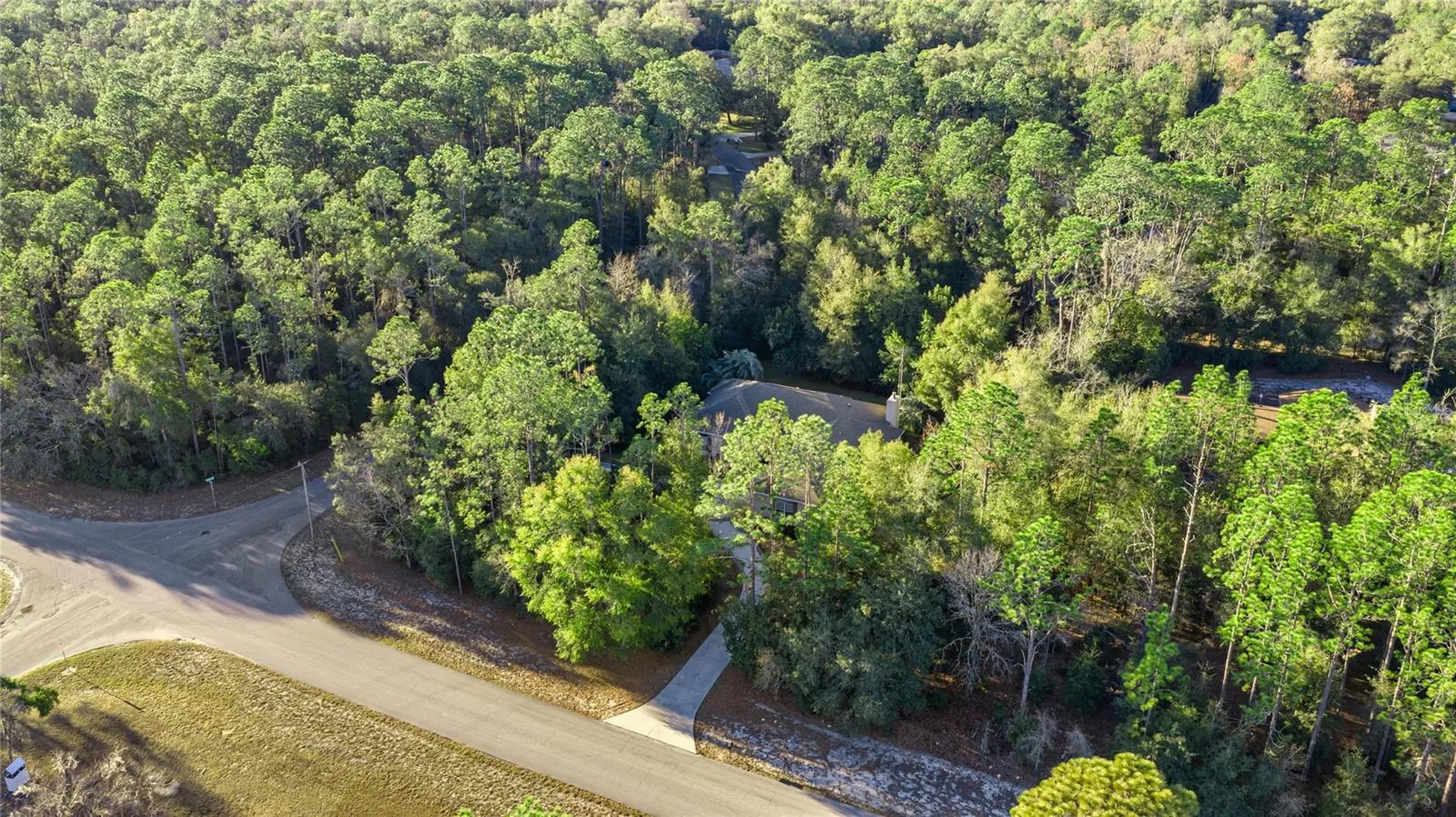 20698 SW 93rd Lane Road Dunnellon FL 34431