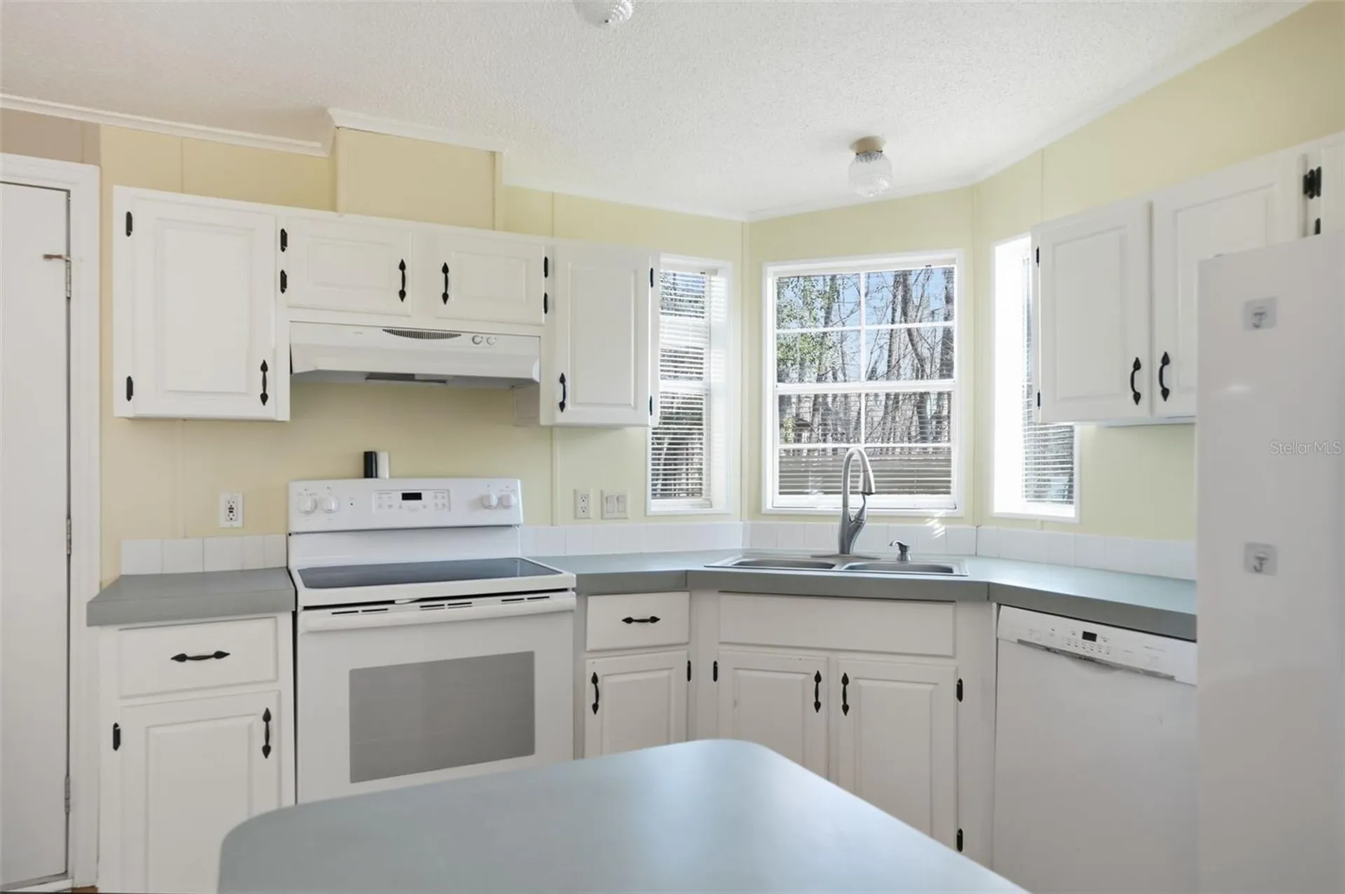 16330 Daviston Lane Brooksville FL 34601