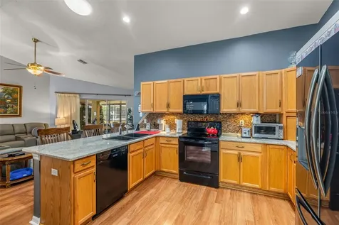 29335 Caddy Shack Lane E San Antonio FL 33576