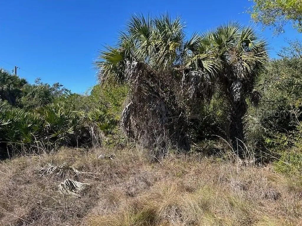 26455 & 26459 Deer Road Punta Gorda FL 33955