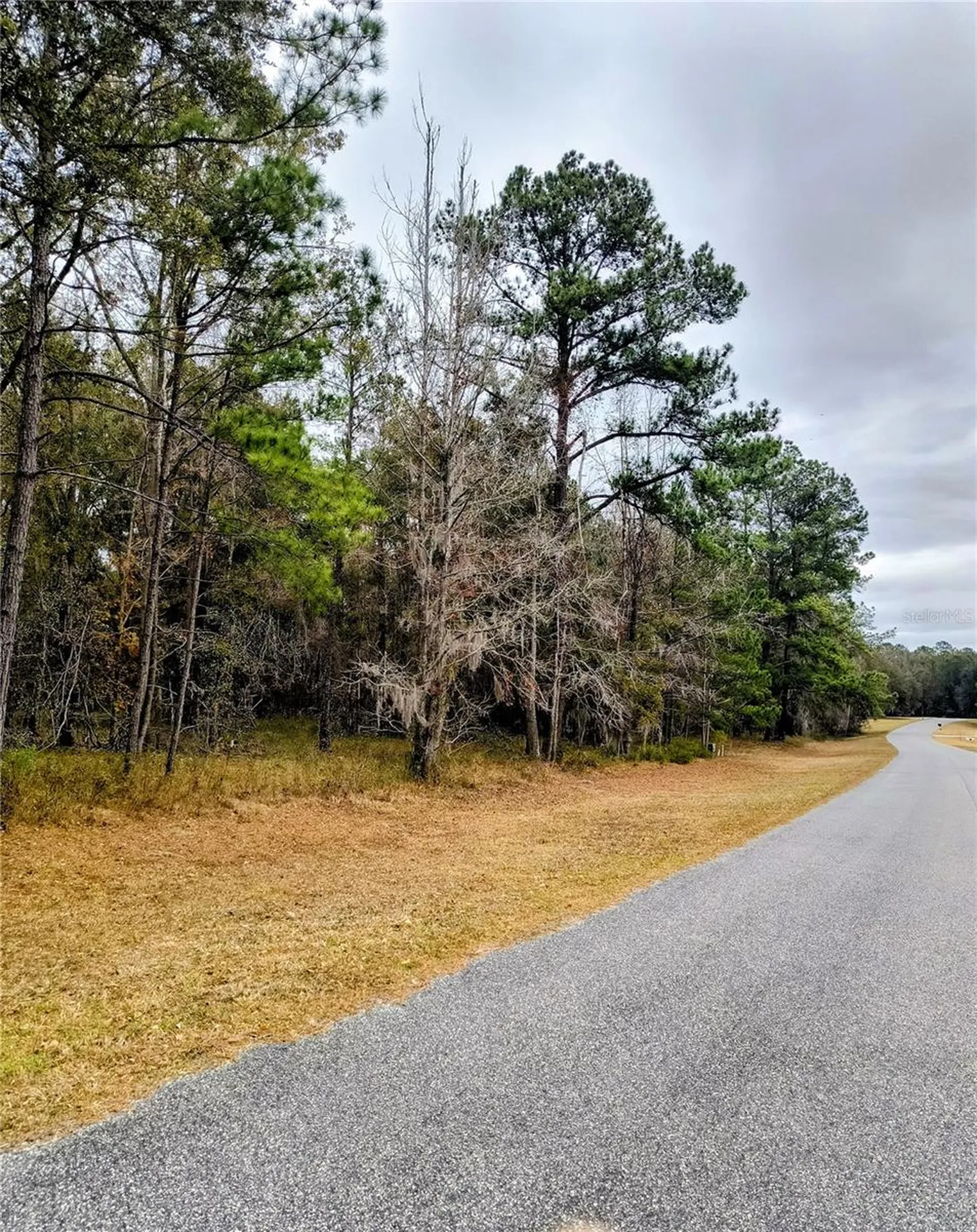 0 NW 142 Street Williston FL 32696