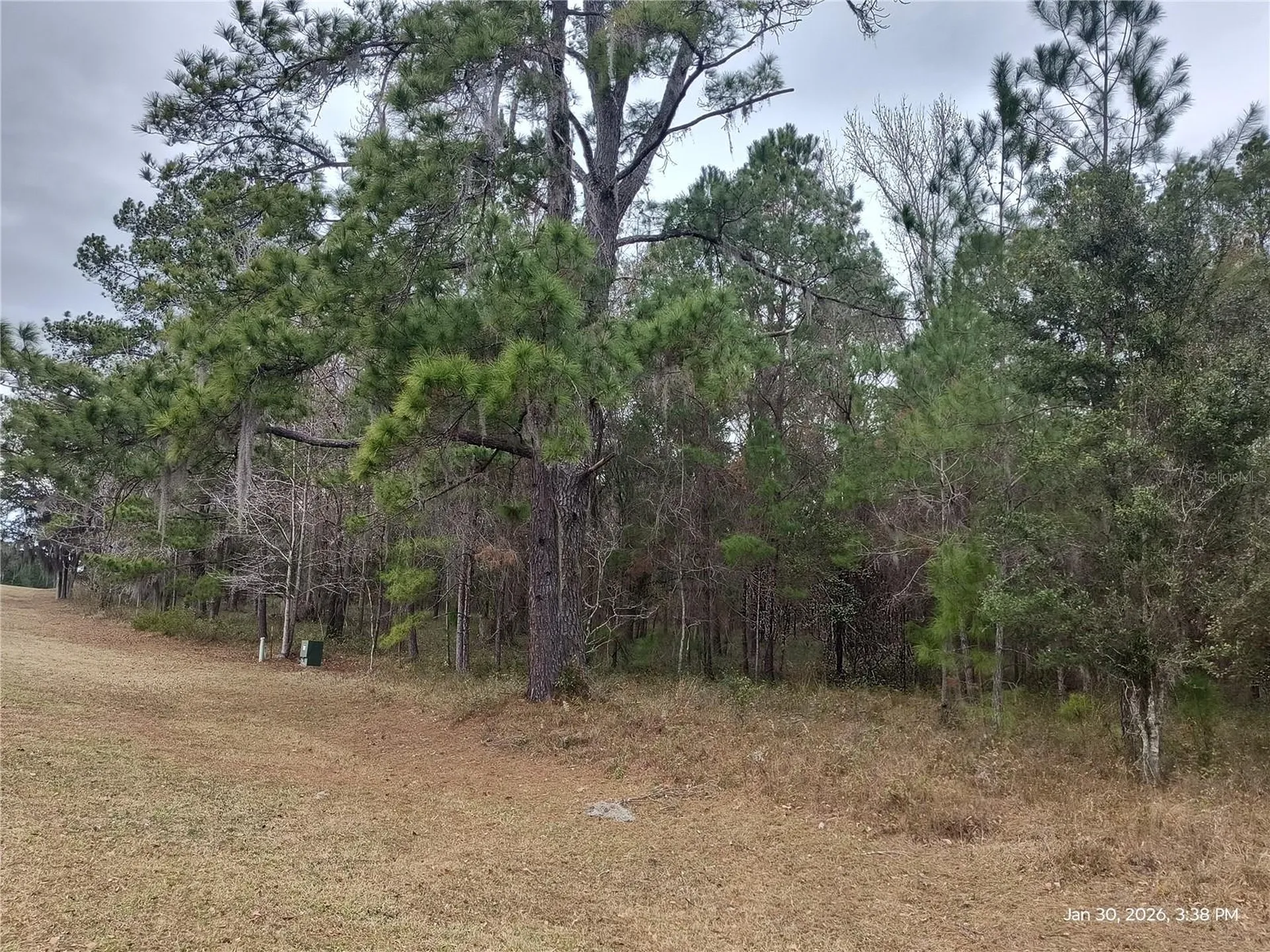 0 NW 142 Street Williston FL 32696