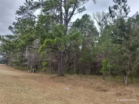 0 NW 142 Street Williston FL 32696