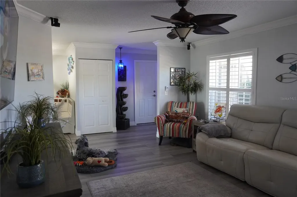 908 Sago Palm Way Apollo Beach FL 33572