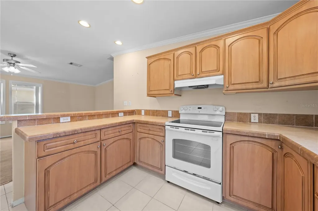 1017 Patrick Street Kissimmee FL 34741