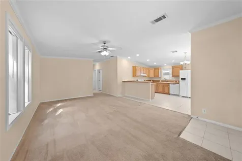 1017 Patrick Street Kissimmee FL 34741