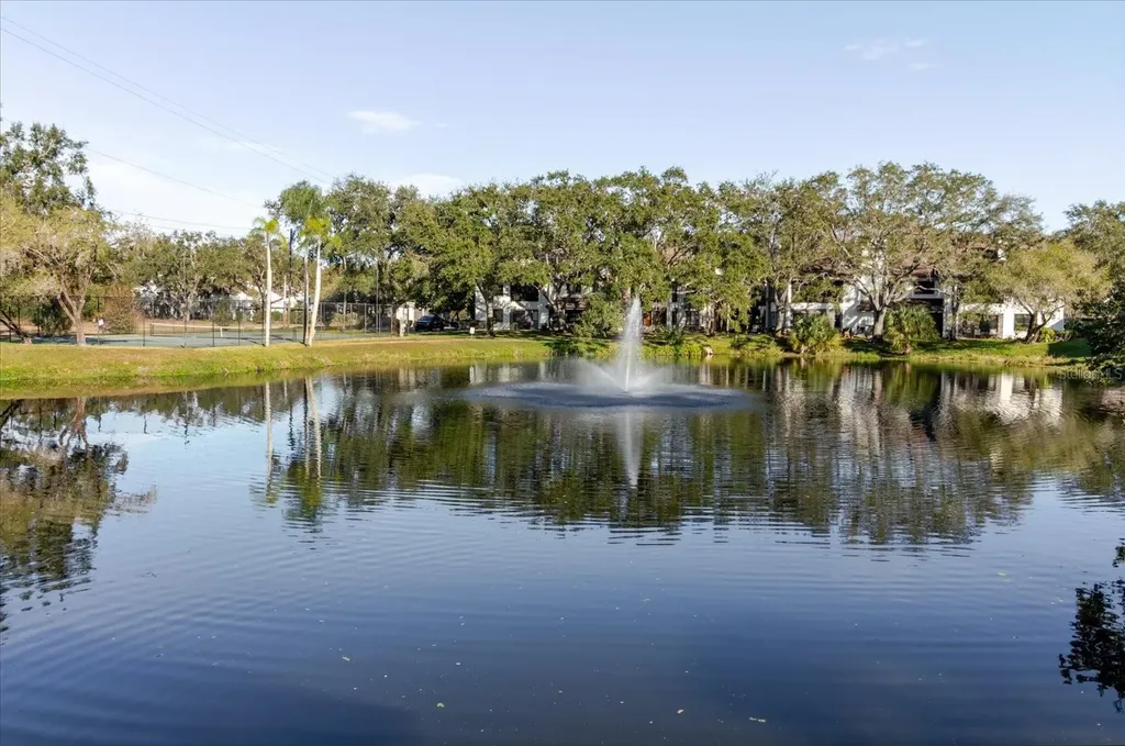 1852 Lake Cypress Drive Safety Harbor FL 34695