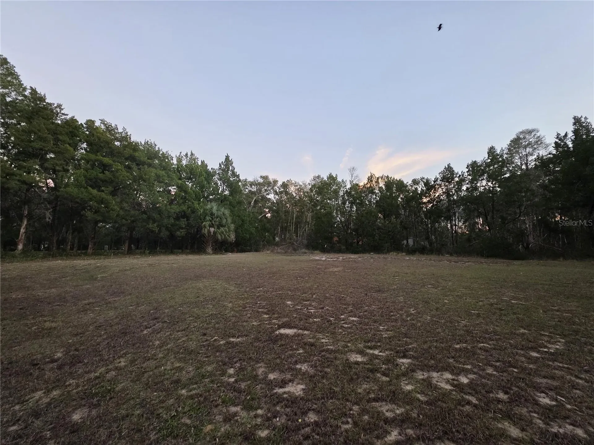 36014 Lake Unity Nursery Road Fruitland Park FL 34731
