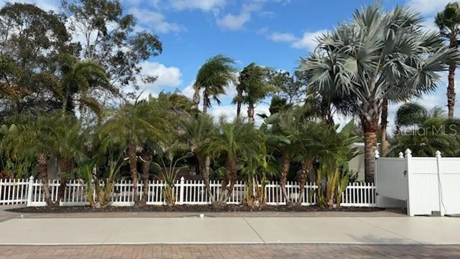 20300 Leonard Road Lutz FL 33558