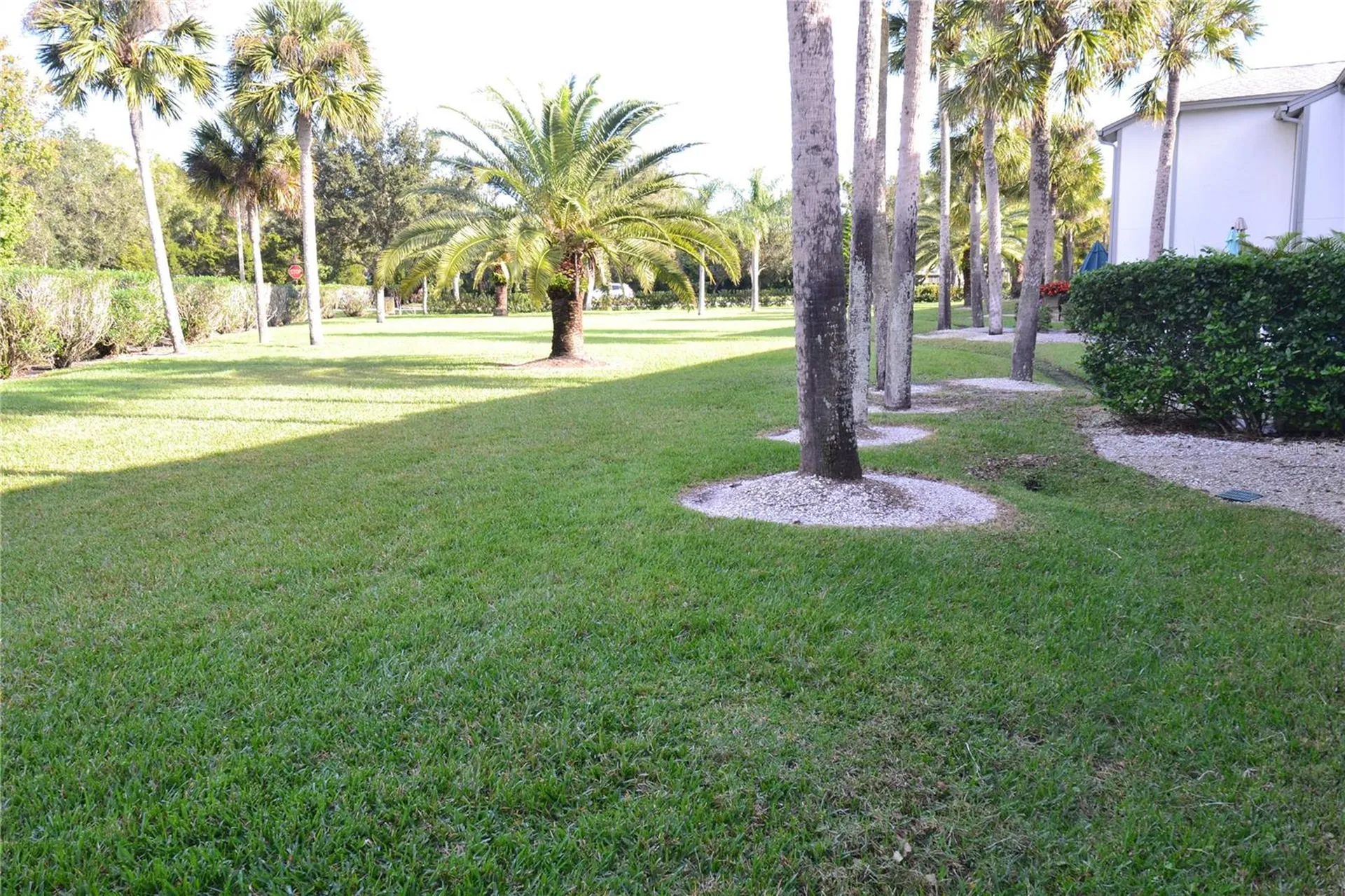 135 W Cypress Court Oldsmar FL 34677