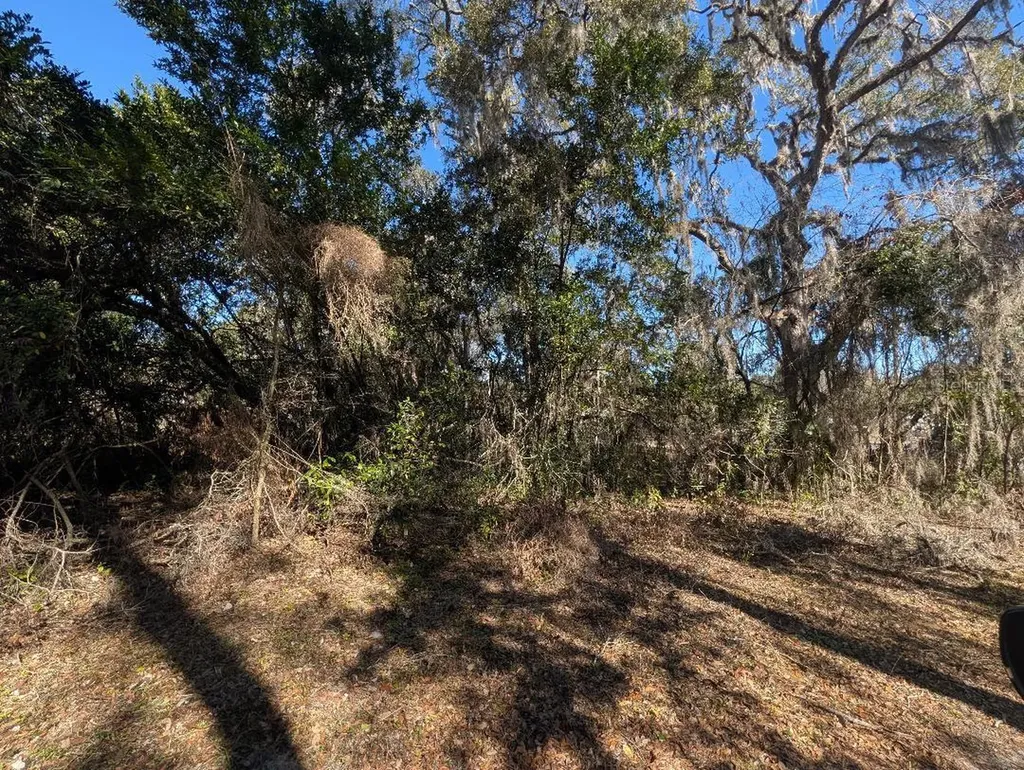 0 Gladiola Court Dade City FL 33523