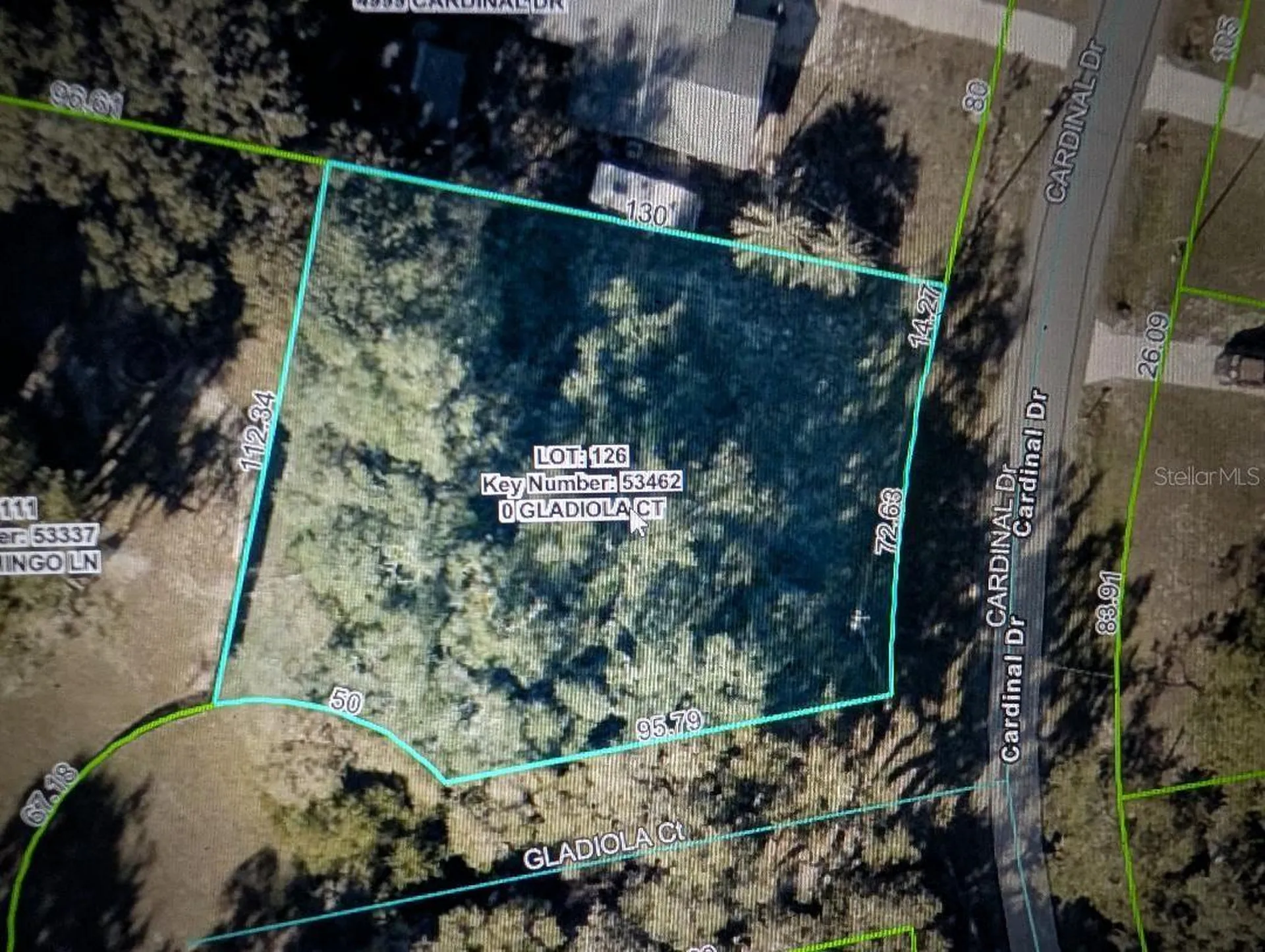 0 Gladiola Court Dade City FL 33523