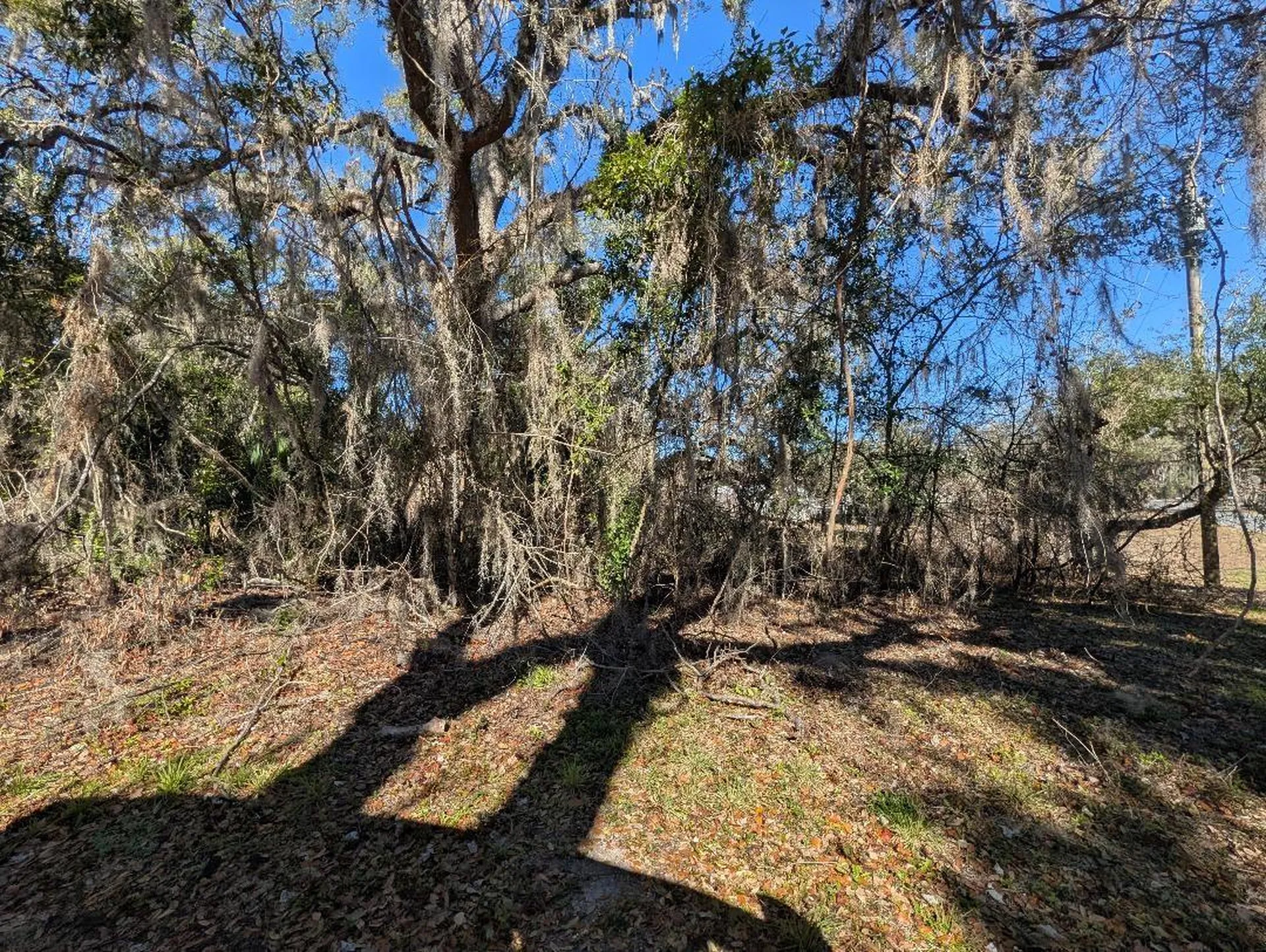 0 Gladiola Court Dade City FL 33523
