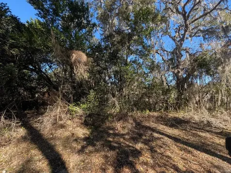 0 Gladiola Court Dade City FL 33523