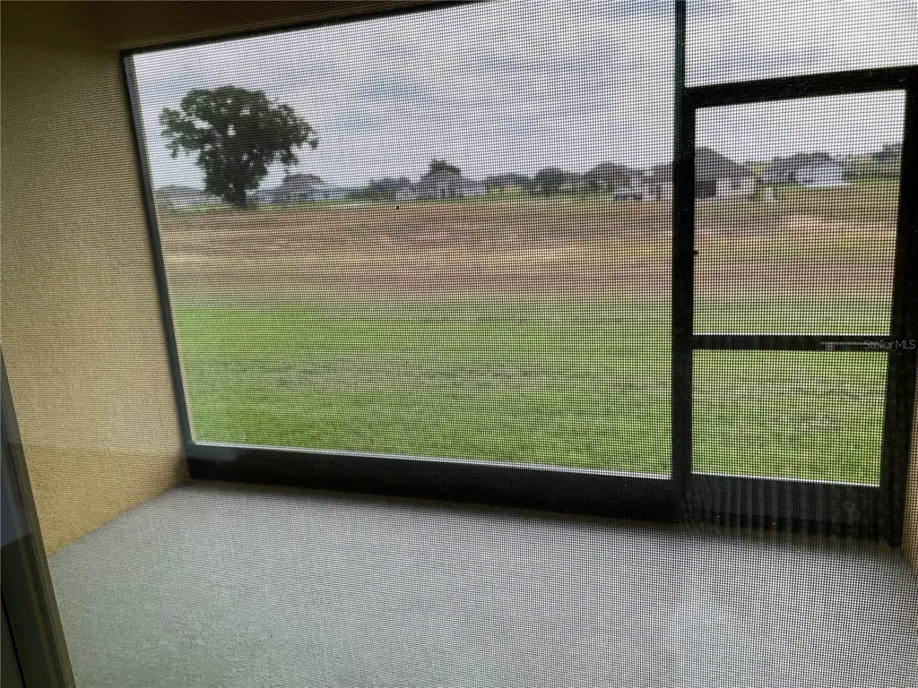 10067 Dolphin Gull Circle Thonotosassa FL 33592