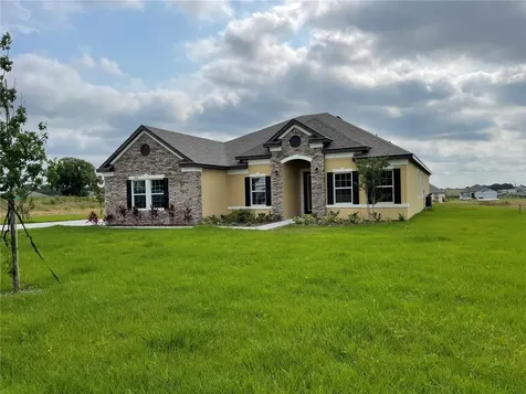 10067 Dolphin Gull Circle Thonotosassa FL 33592