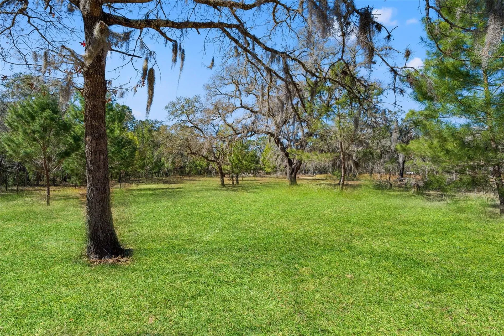 12222 Beagle Road Hudson FL 34667