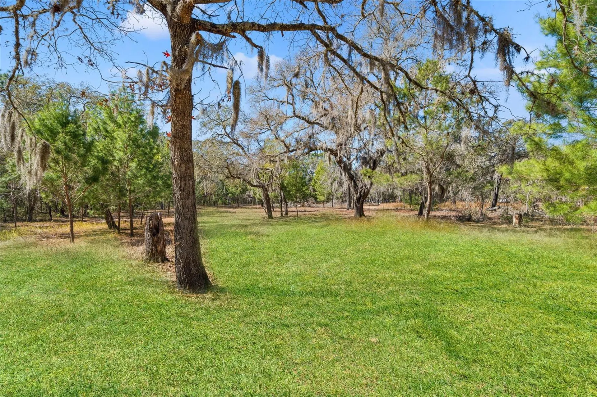 12222 Beagle Road Hudson FL 34667
