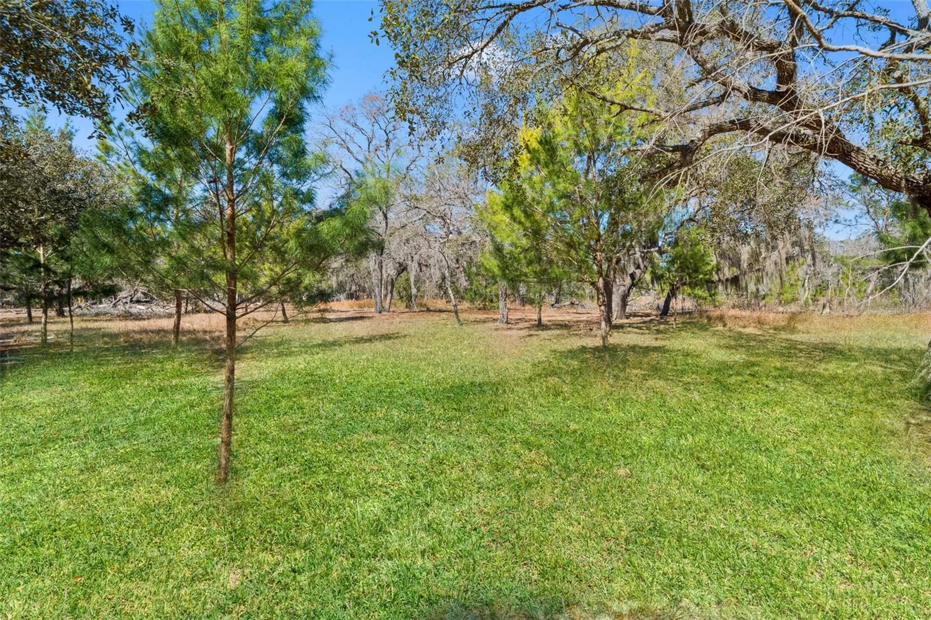 12222 Beagle Road Hudson FL 34667