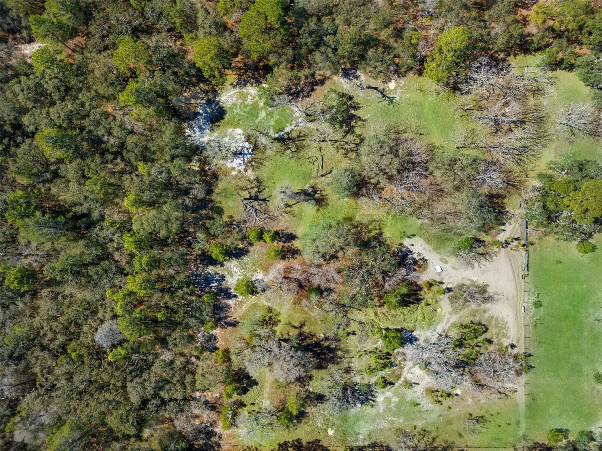 12222 Beagle Road Hudson FL 34667
