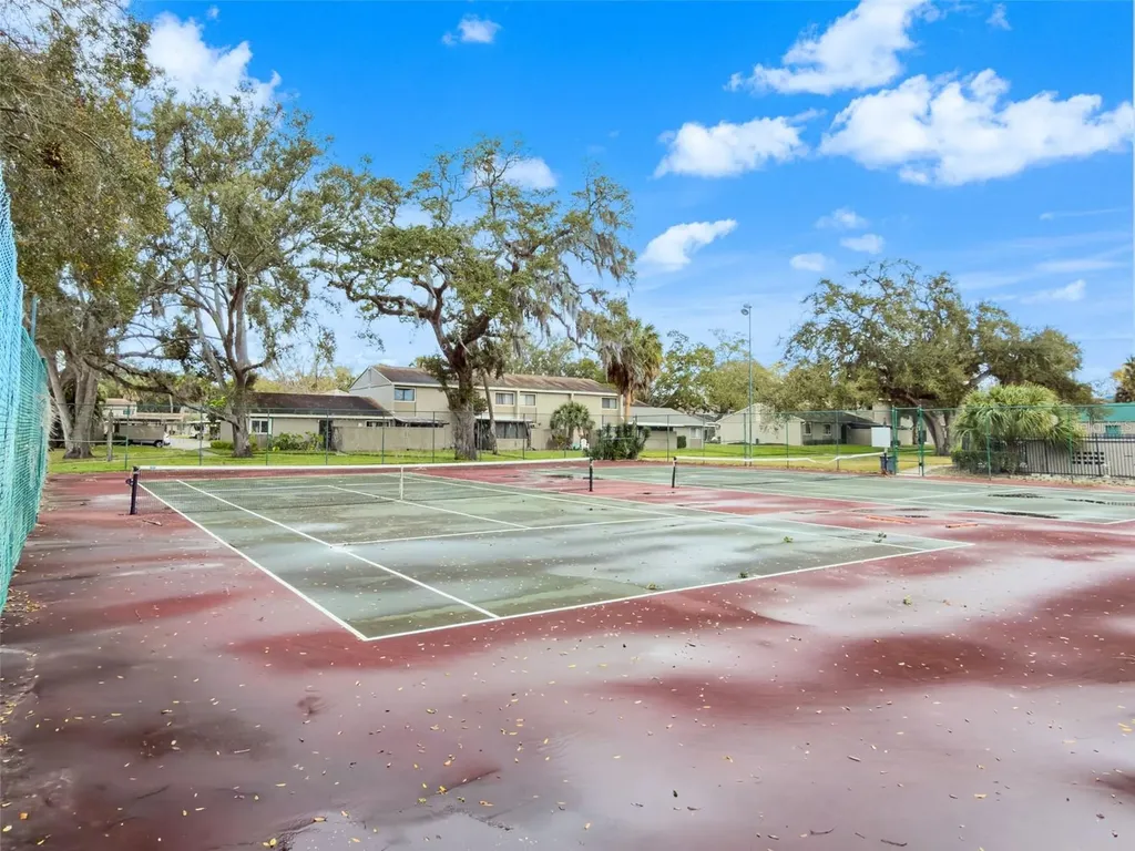 8408 Terrace Meadows Court Temple Terrace FL 33637