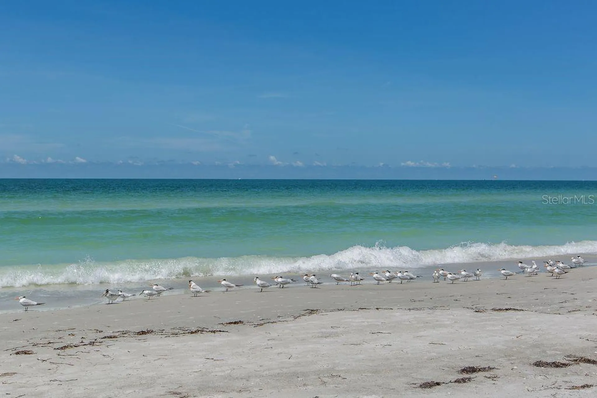 399 2nd Street Indian Rocks Beach FL 33785