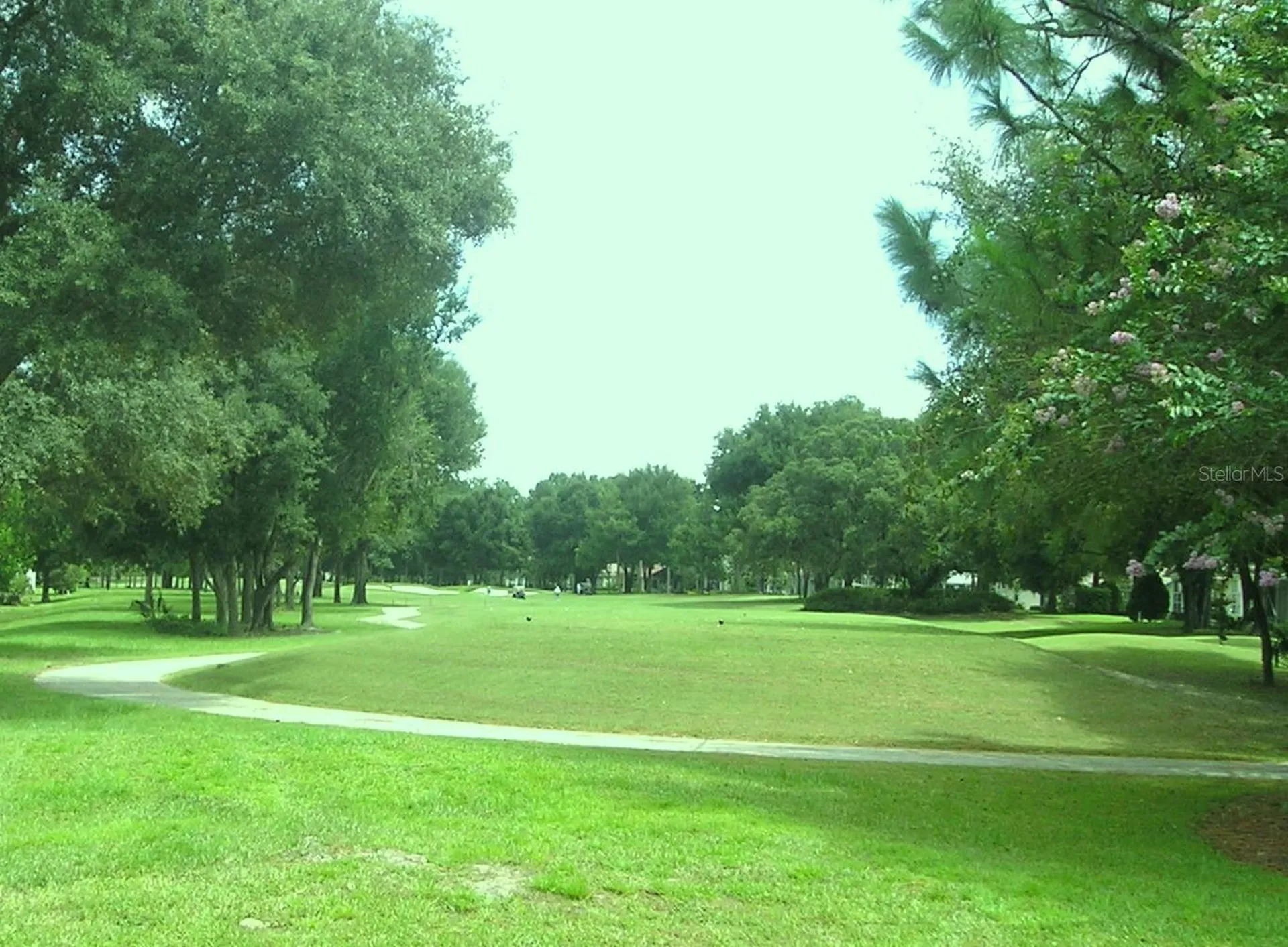 8565 SW 109th Street Ocala FL 34481