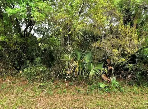Backert Road North Port FL 34291