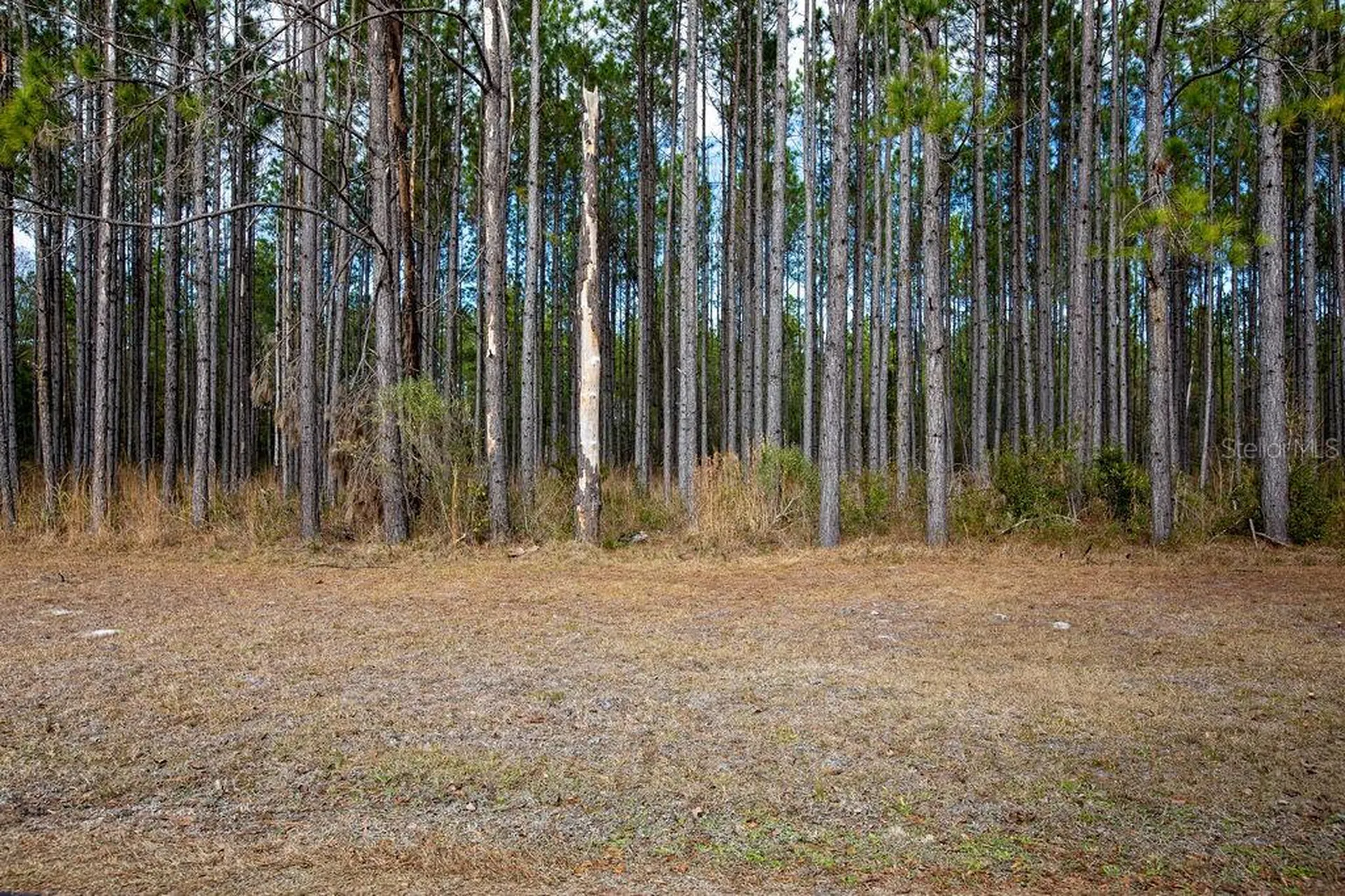 Tbd 140th Terrace Lake City FL 32024