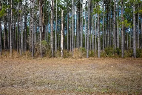 Tbd 140th Terrace Lake City FL 32024