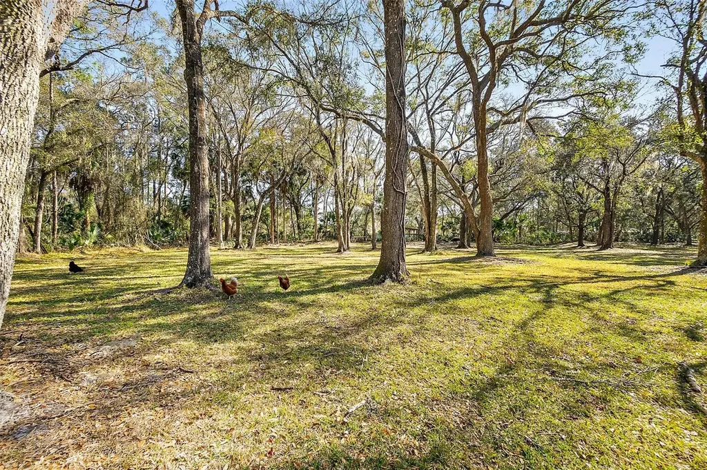 998 County Road 302 Bunnell FL 32110