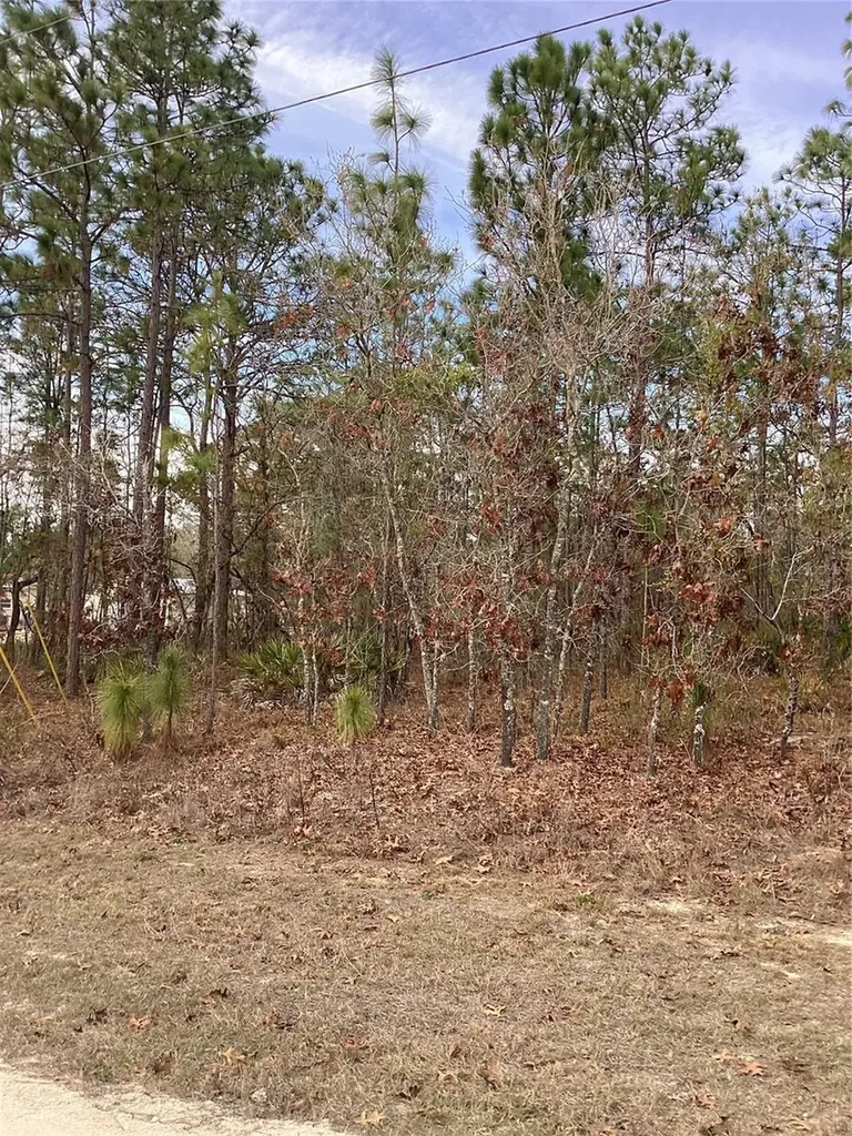 0 Chickadee Road Weeki Wachee FL 34614