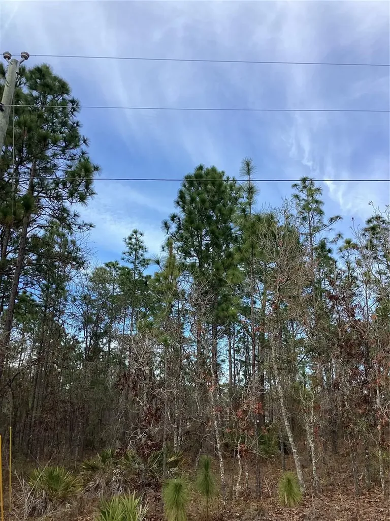 0 Chickadee Road Weeki Wachee FL 34614