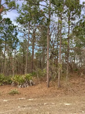 0 Chickadee Road Weeki Wachee FL 34614