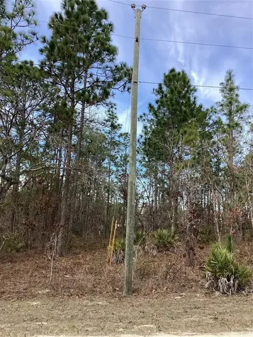 0 Chickadee Road Weeki Wachee FL 34614