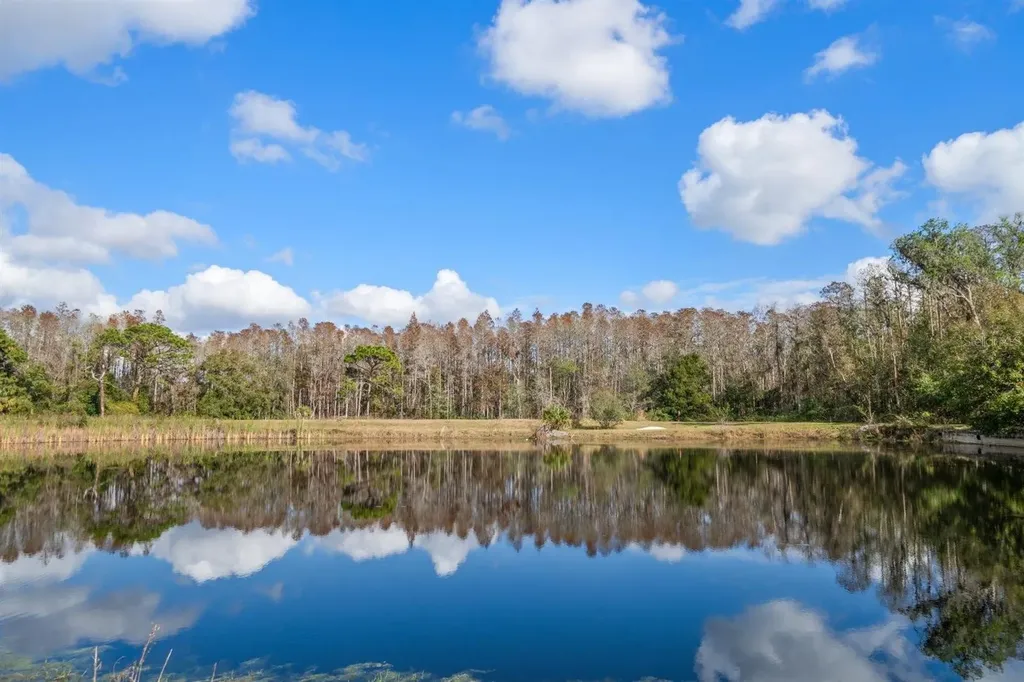 18409 Tyler Road Odessa FL 33556