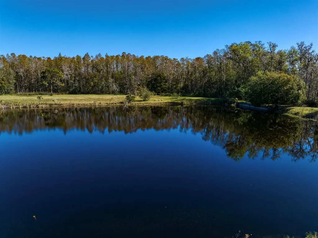 18409 Tyler Road Odessa FL 33556
