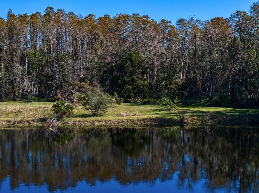 18409 Tyler Road Odessa FL 33556