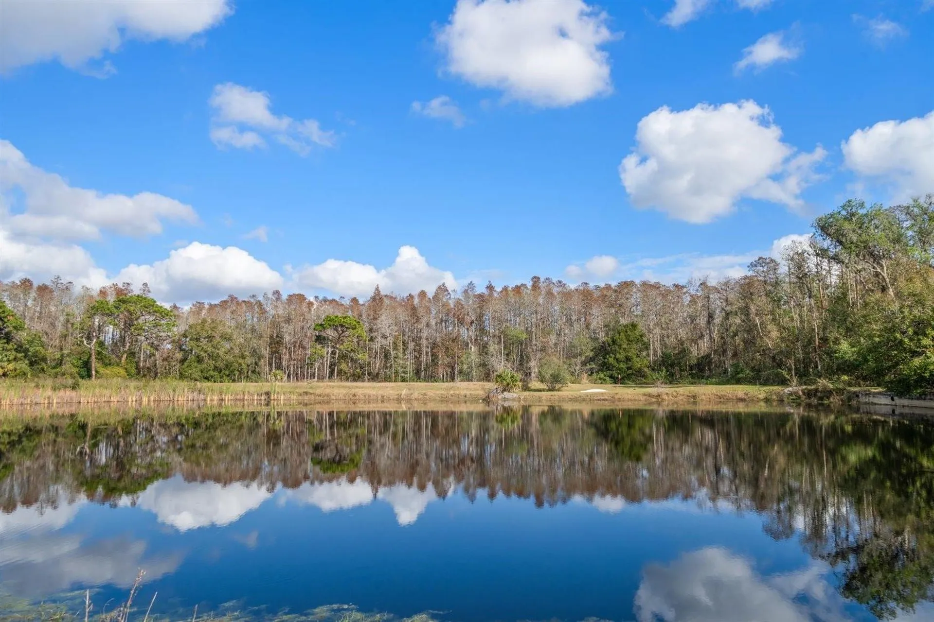 18409 Tyler Road Odessa FL 33556