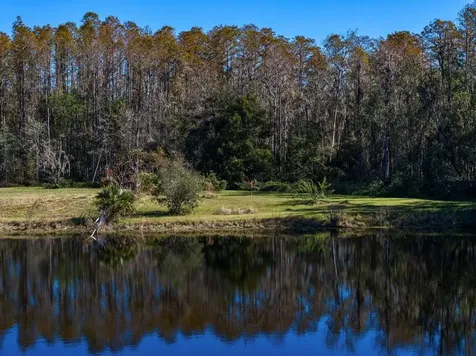 18409 Tyler Road Odessa FL 33556