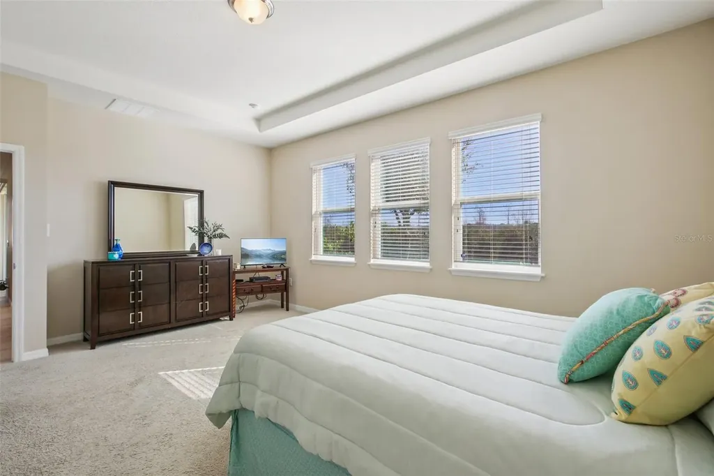 32030 Goddard Drive Wesley Chapel FL 33543