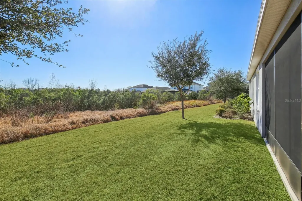 32030 Goddard Drive Wesley Chapel FL 33543
