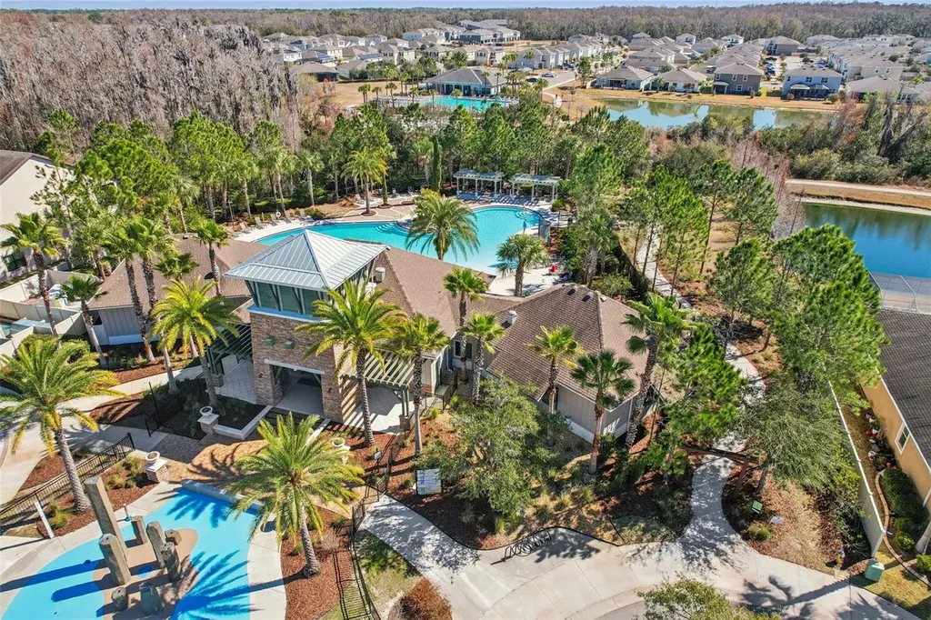 32030 Goddard Drive Wesley Chapel FL 33543