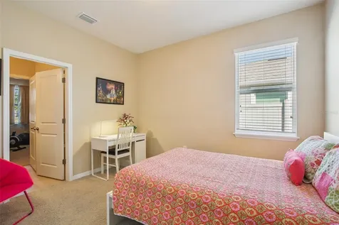 32030 Goddard Drive Wesley Chapel FL 33543