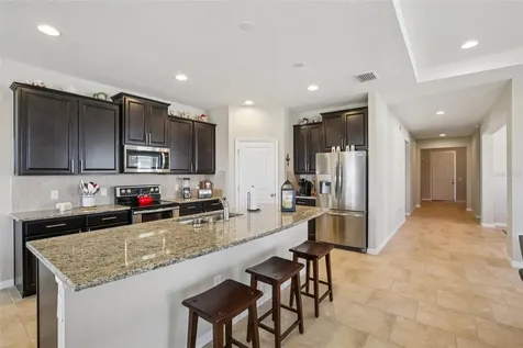 32030 Goddard Drive Wesley Chapel FL 33543
