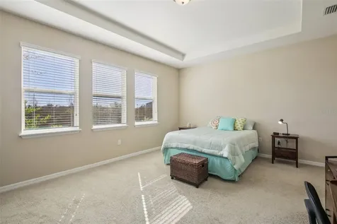 32030 Goddard Drive Wesley Chapel FL 33543
