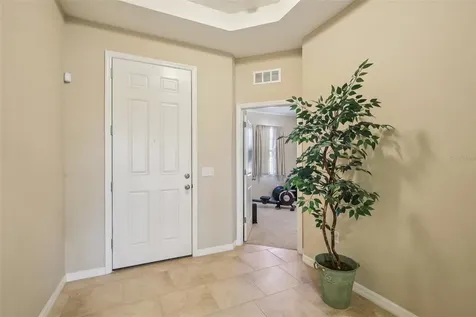 32030 Goddard Drive Wesley Chapel FL 33543