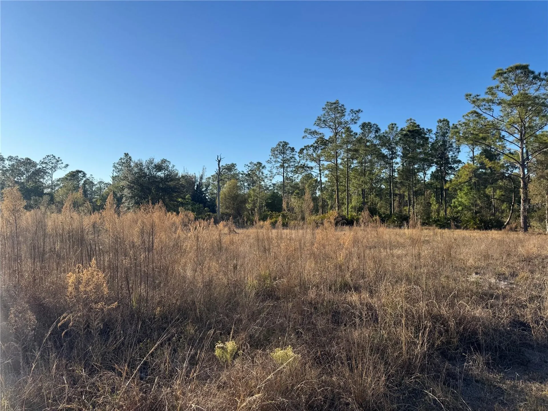 1303 Hamilton Avenue Lehigh Acres FL 33972