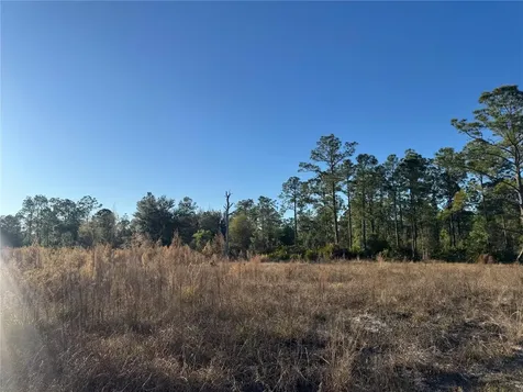 1303 Hamilton Avenue Lehigh Acres FL 33972