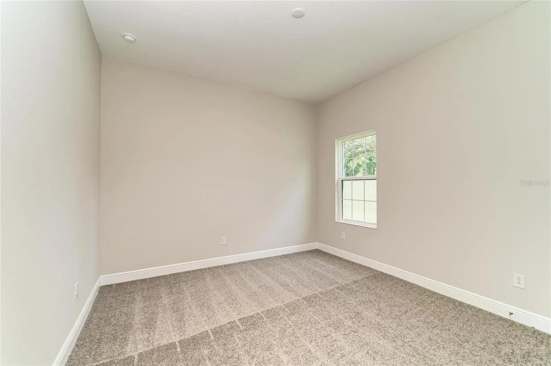 4636 Cedar Fog Ct Drive Valrico FL 33596